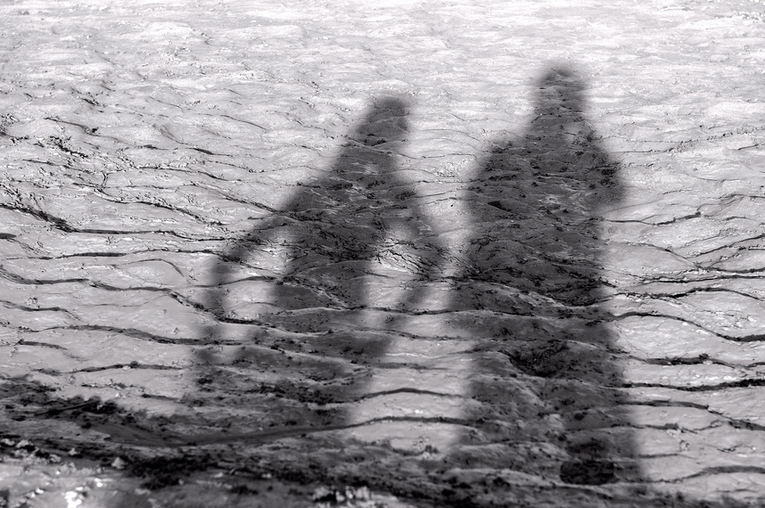 shadows